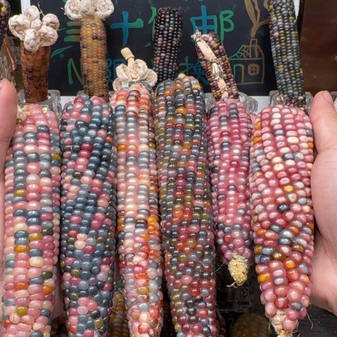 柏香籽/百香籽吊坠小*星