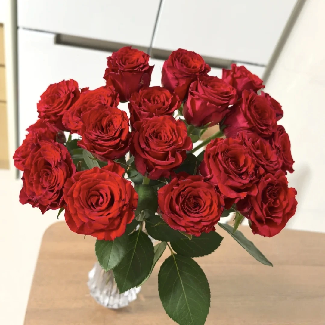 20枝珍爱单头玫瑰（小花苞）(两单发顺丰或京东快递)