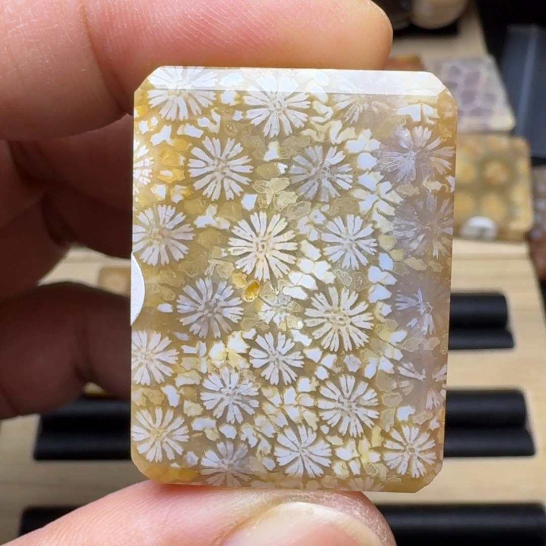 硅化玉未镶嵌纯天然色有机玉石保真色