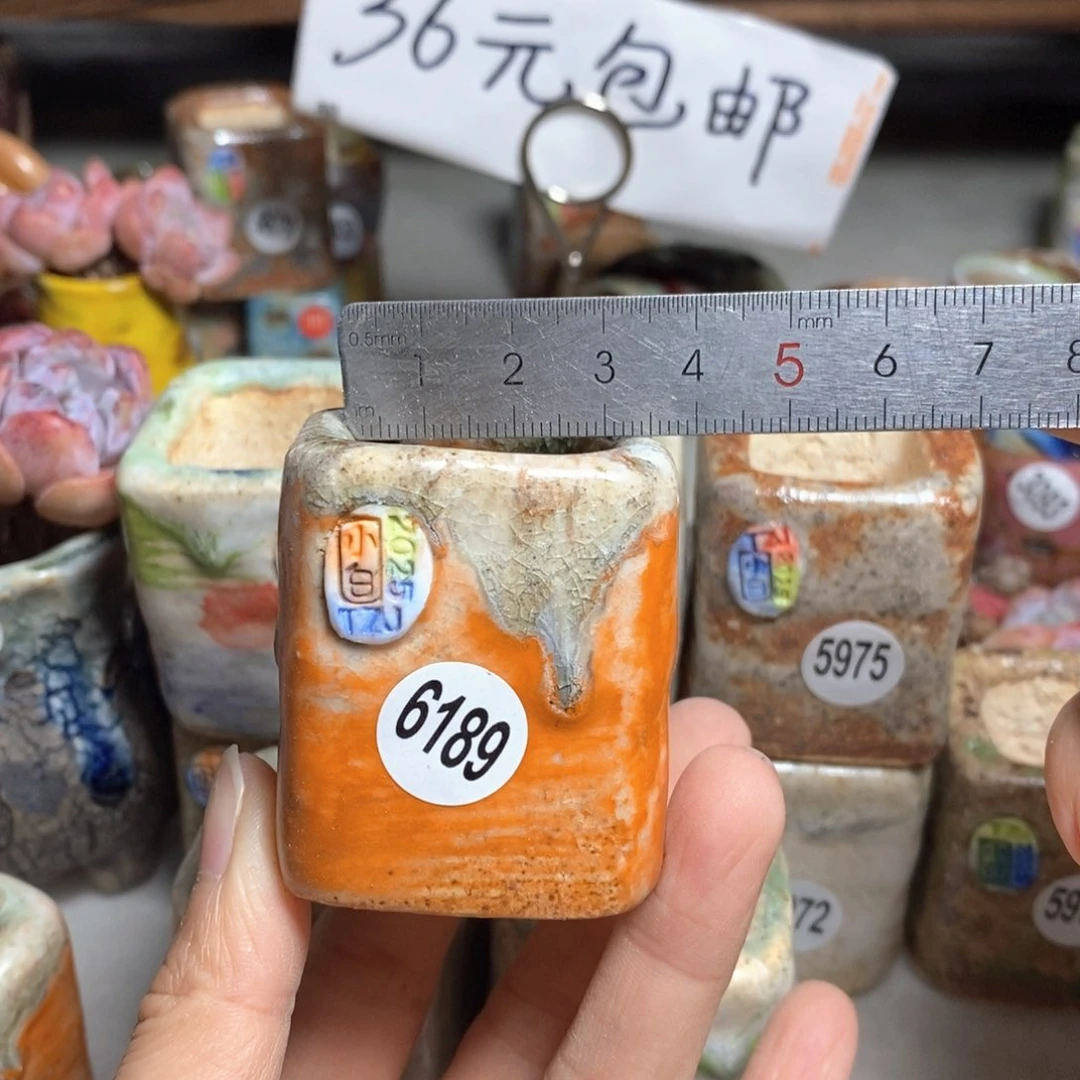 拍3送一个小礼物