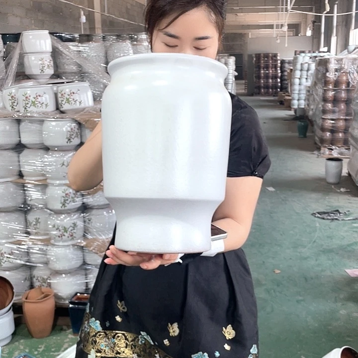 红陶正品高31/20