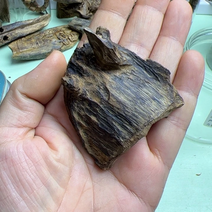 沉香碎屑沉香三***啊千里香原母树10克