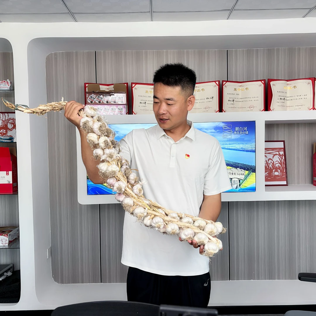 【小赵书记专属】村民菜园自种宝坻大蒜六瓣红紫皮大蒜鲜蒜50头/挂