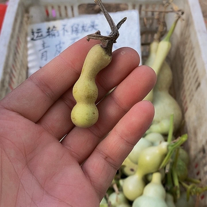用****卍哈哈哈哈哈哈哈哈