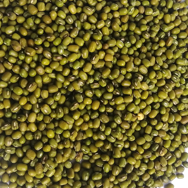 散装绿豆 小绿豆 五谷杂粮会销礼品粗粮低温烘培熟明绿豆散装