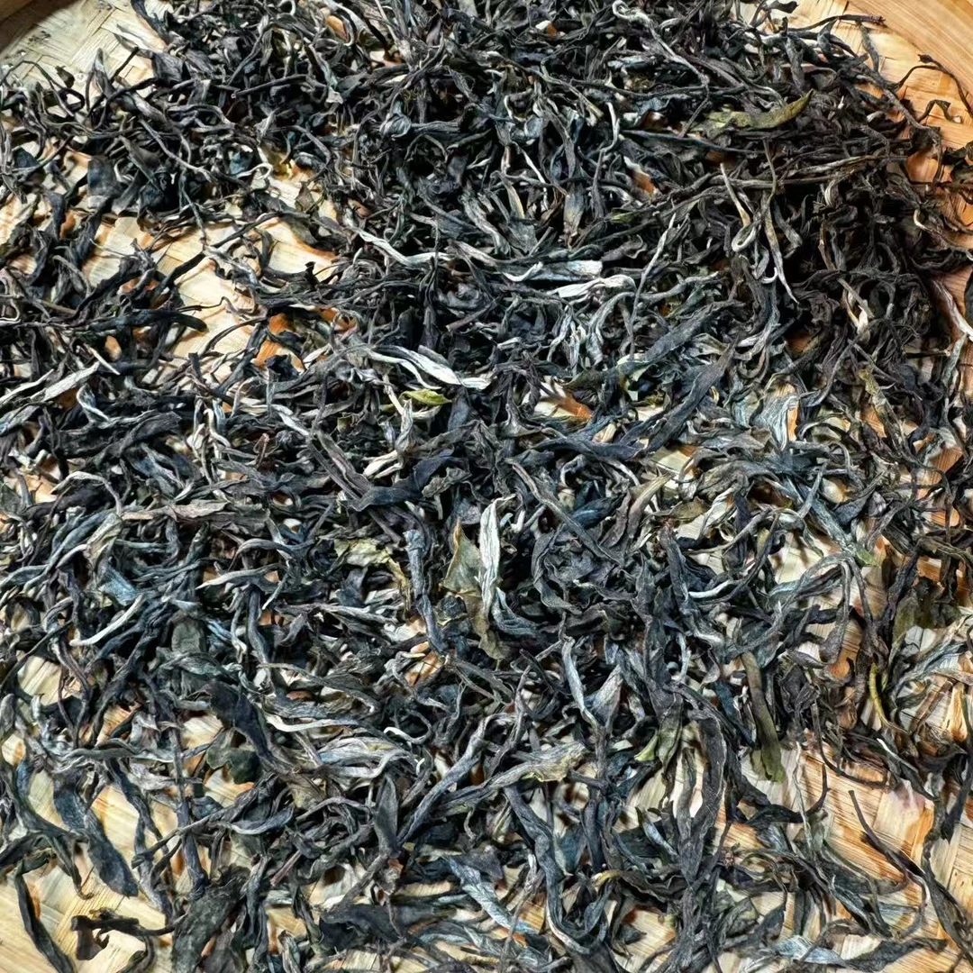 【小刚家的茶】6-23【LC260】2025年白莺山柳叶种 生散（晒青毛茶）