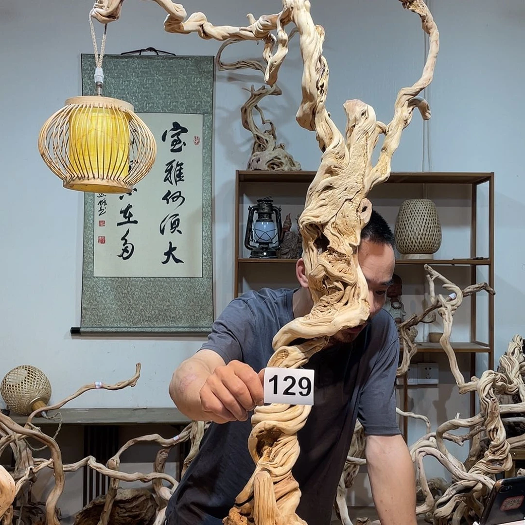 香榧木蒲*杜鹃红梅溪湖