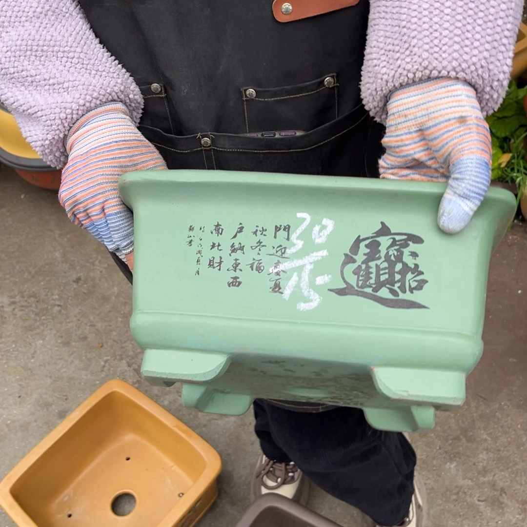 紫砂花盆盆景艺术