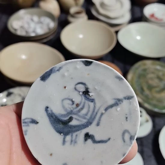瓷片青花影青杯垫学习标本