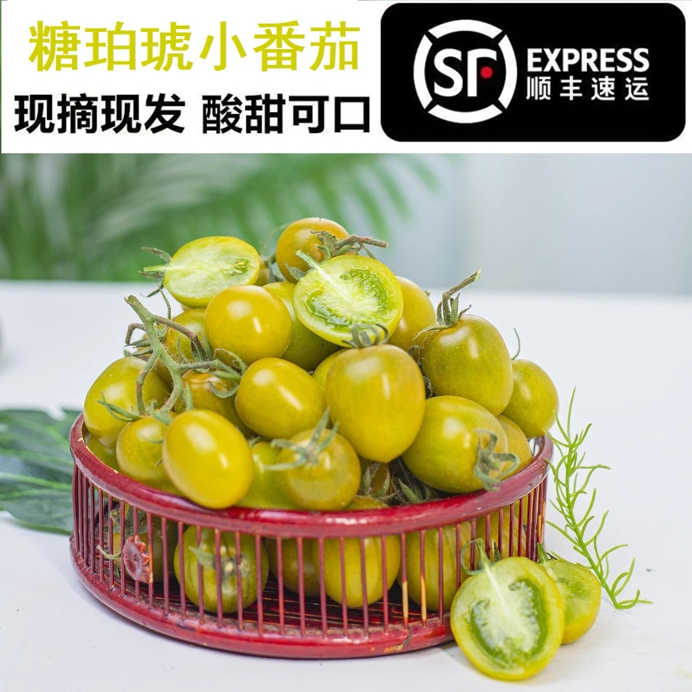 网红小番茄糖珀琥小番茄爆浆圣女果现摘现发新鲜脆甜水果多汁
