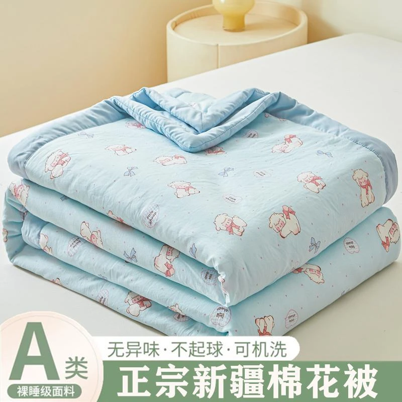 夏季夏被A类超柔云朵棉棉花夏凉被薄被子被芯新款母