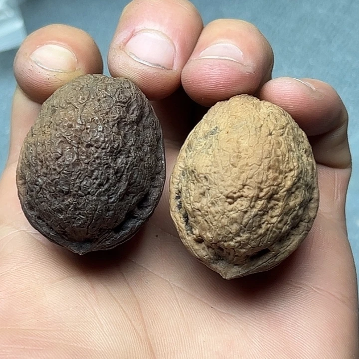 把件文玩核桃37号花彩小罗汉334尺