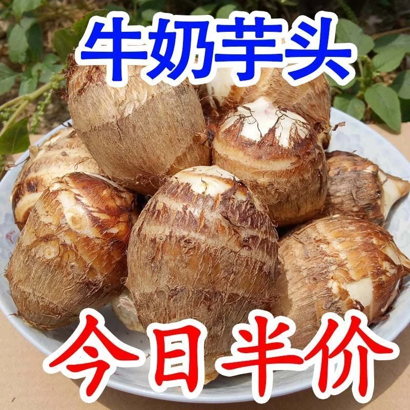 云南牛奶小芋头新鲜蔬菜粉糯红毛芋头槟榔芋当季芋艿香芋农家yt