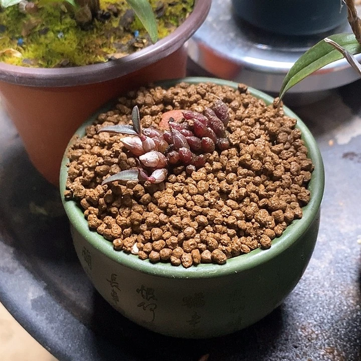 莫****耘米铁土111111111