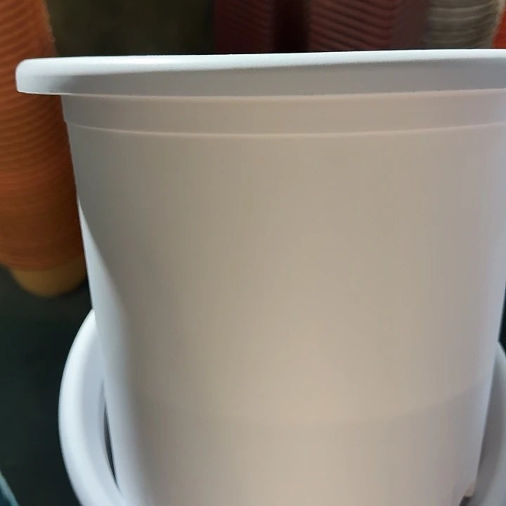 四季6号新灰白无托7个特价