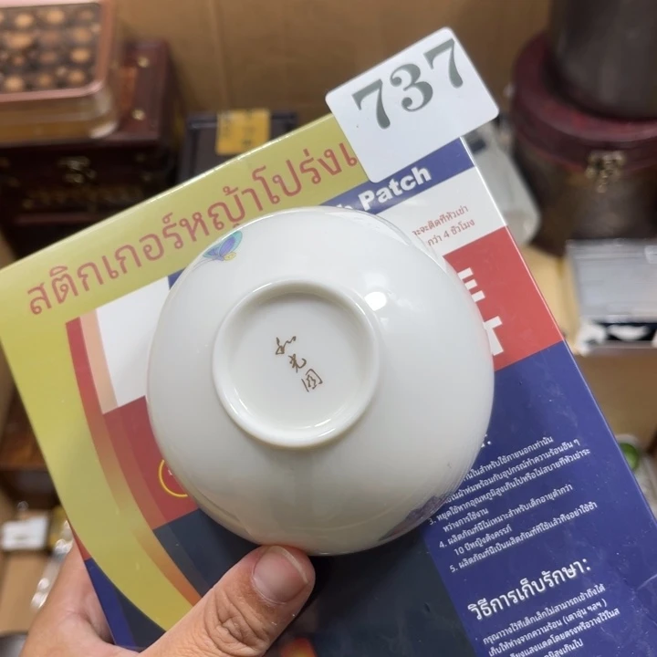 回流瓷器瓷器碎片737