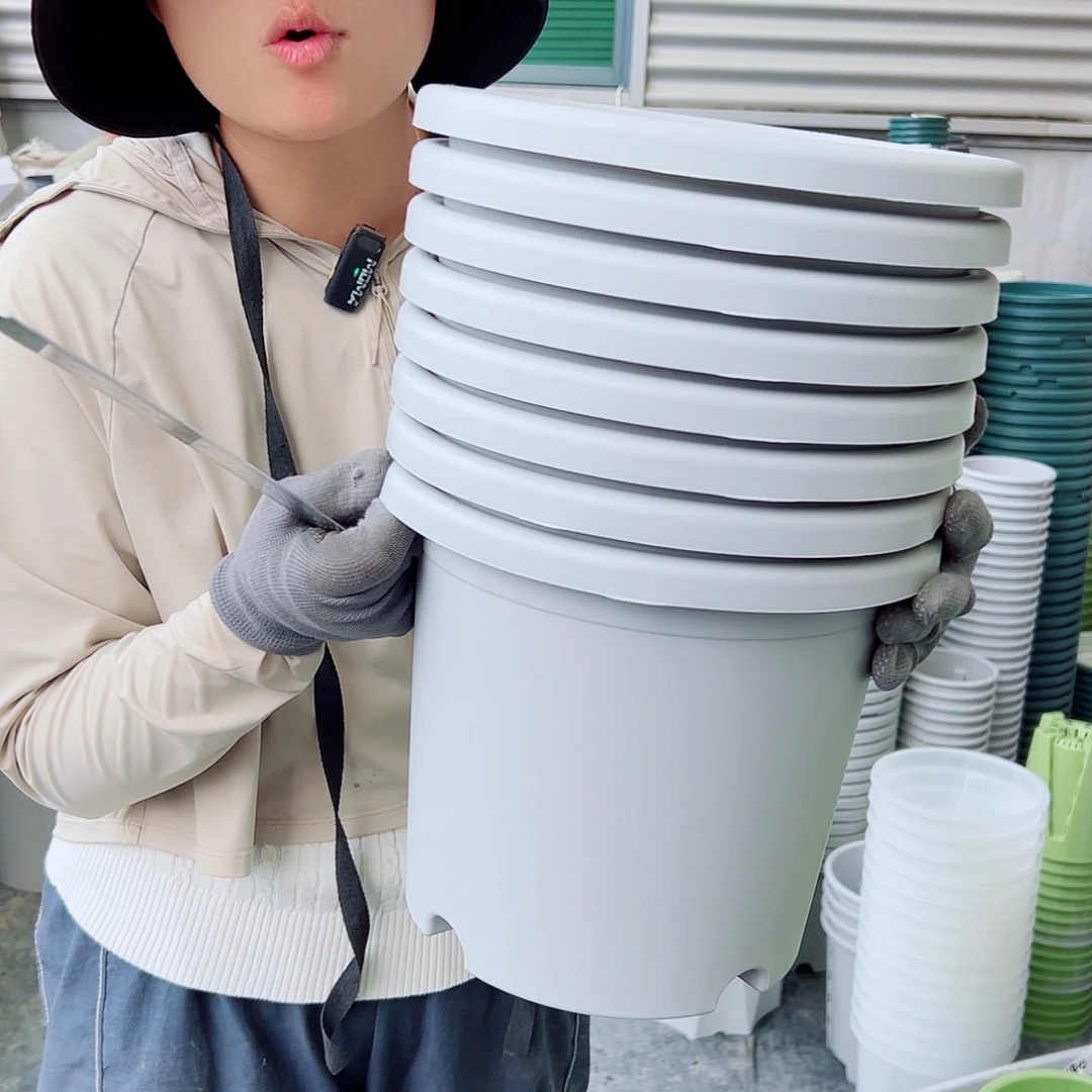 四季盆4#灰白色8个无托