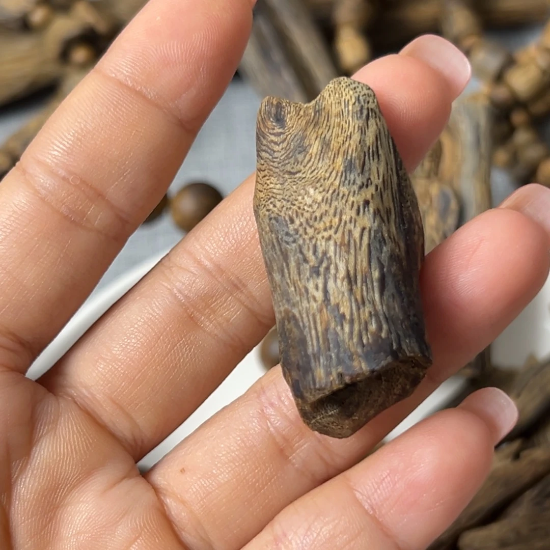 高***军沉香沉香碎屑大树丁留疤