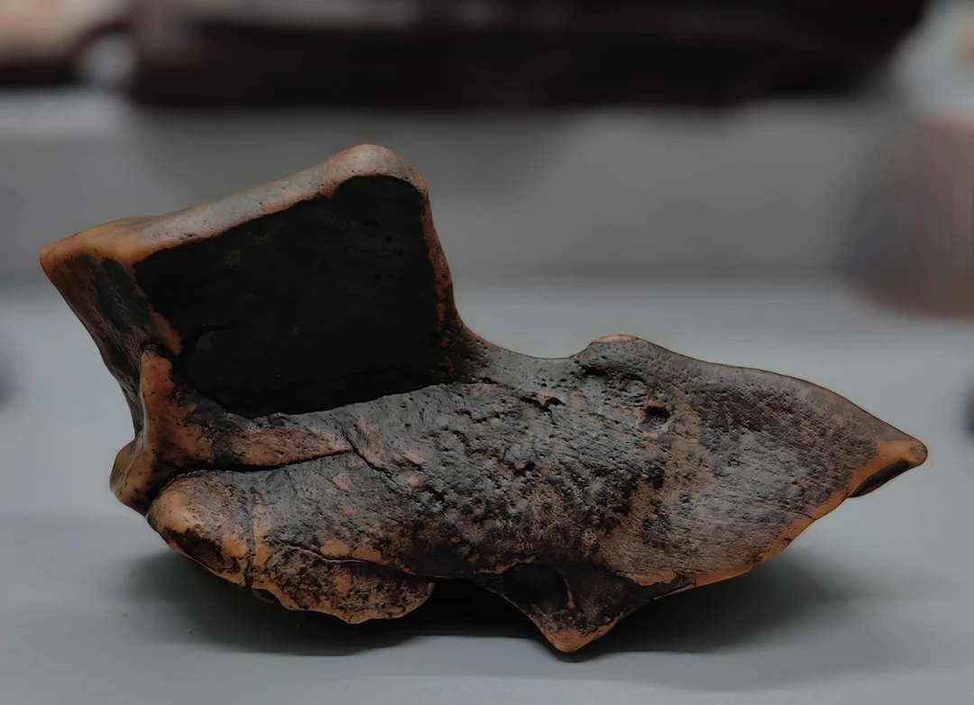 可爱老皮人物头像