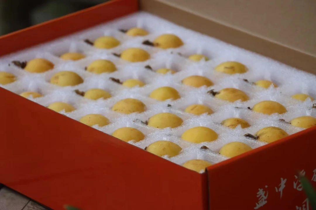 【精选大果】现摘现发苏州洞庭白玉青种大果70颗礼盒约四点五到五斤