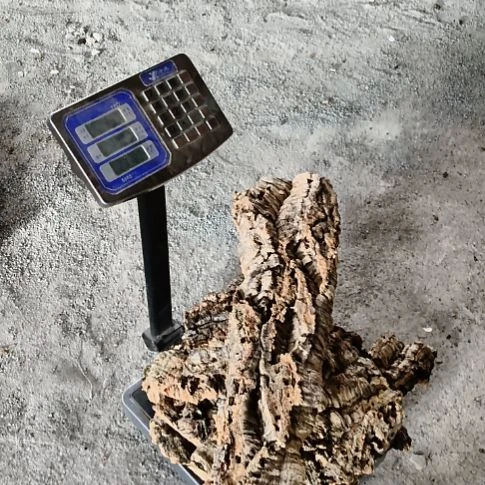 顺顺利利，平平安安