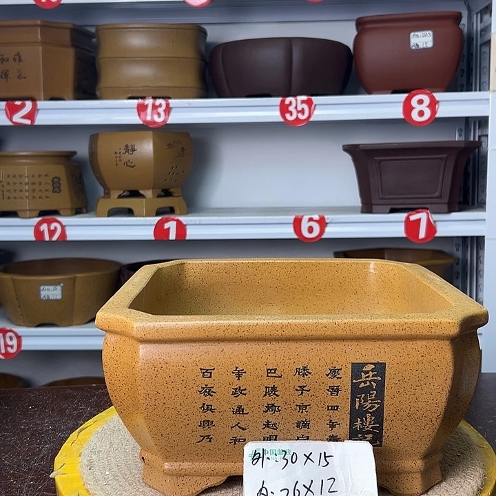 花盆紫砂你在一起