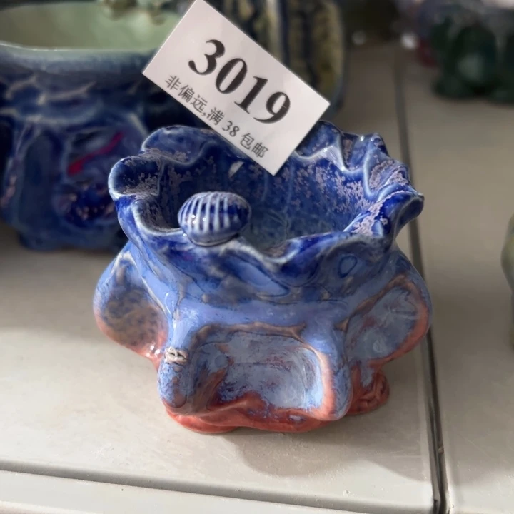 口5高6 ……未满30元运费到付