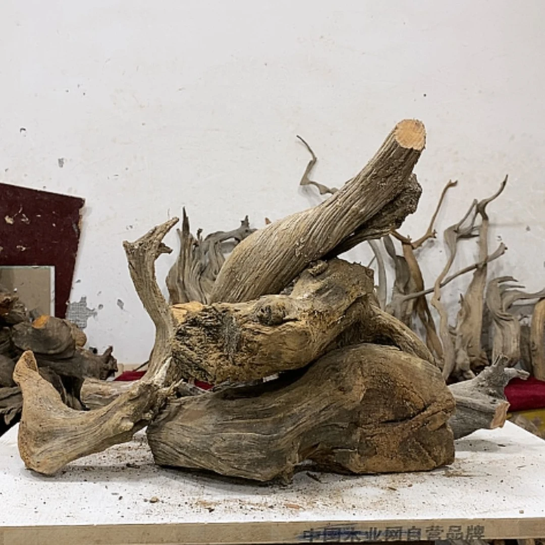 【闪购商品】柏木李****）我们都是好孩子