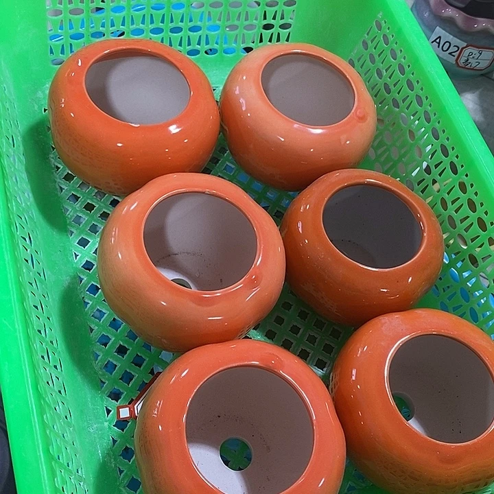 花盆抢购清货马上开始