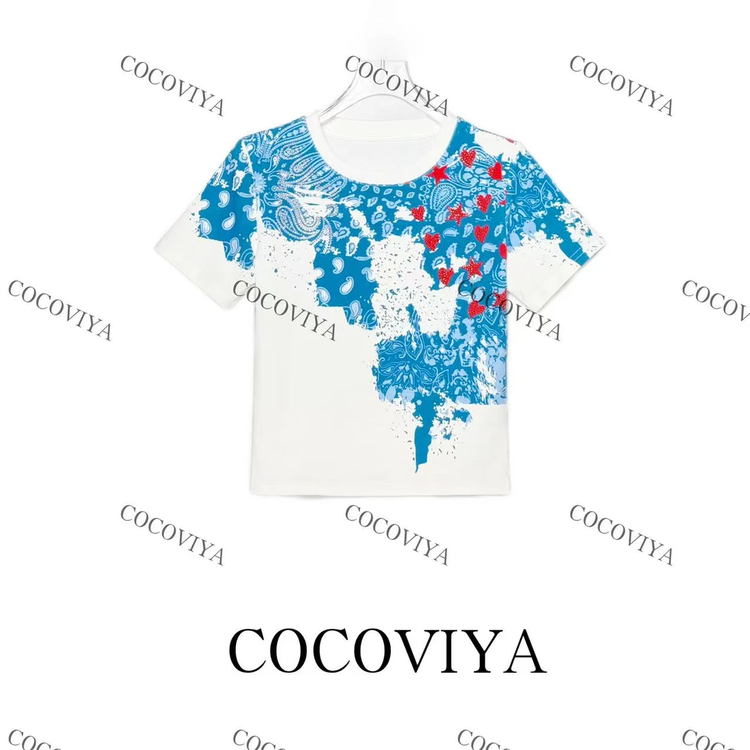 【CC】COCOVIYA 2025设计感春夏打底时尚百搭休闲上衣26C-885