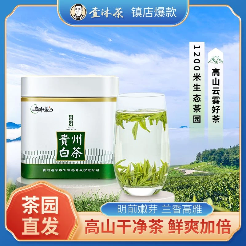 【云顶玉叶】梵净山贵州白茶高山干净茶白叶一号绿茶甄选明前嫩芽