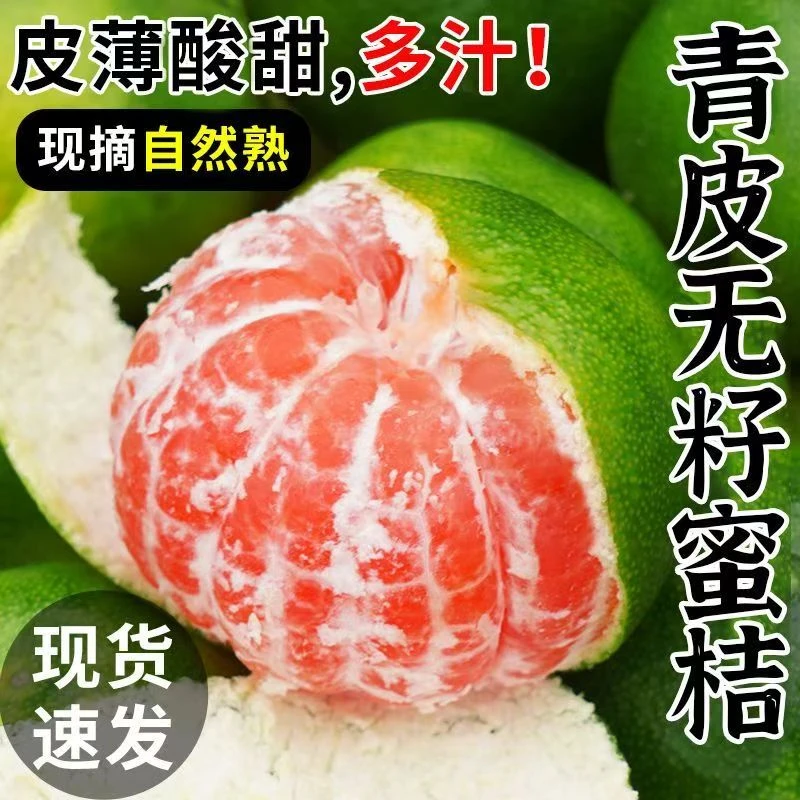 【现货 次日发】现摘高山青皮无籽蜜桔新鲜应季酸甜可口孕妇水果