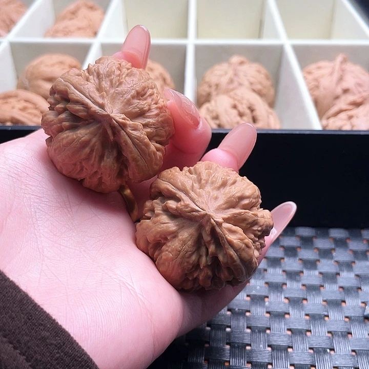 雅***_霸王龙核桃尺寸39