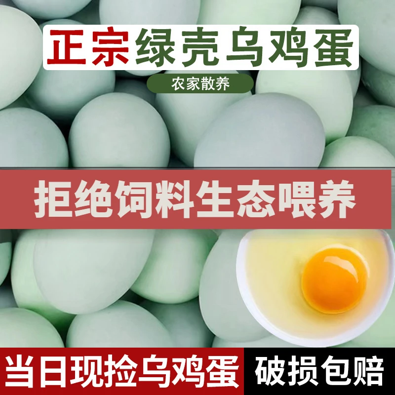 【助农】绿壳乌骨鸡蛋新鲜现捡高山散养生态五谷菜叶喂养