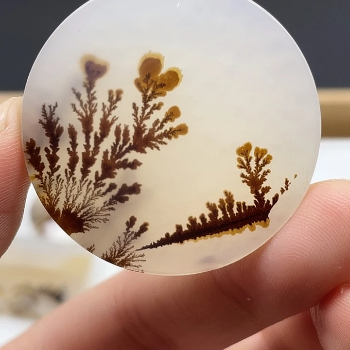 泽***玛瑙/玉髓未镶嵌颈饰