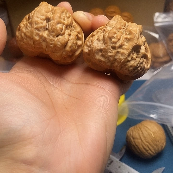 吊坠文玩核桃45蛤蟆头