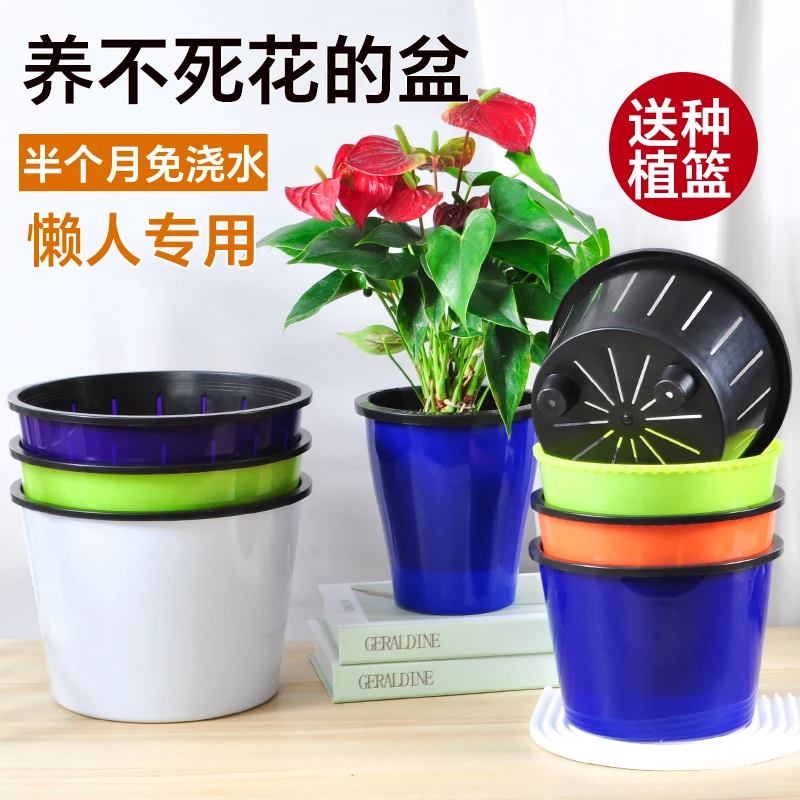 6色花边懒人盆 自吸水多彩创意绿萝树脂环保花盆