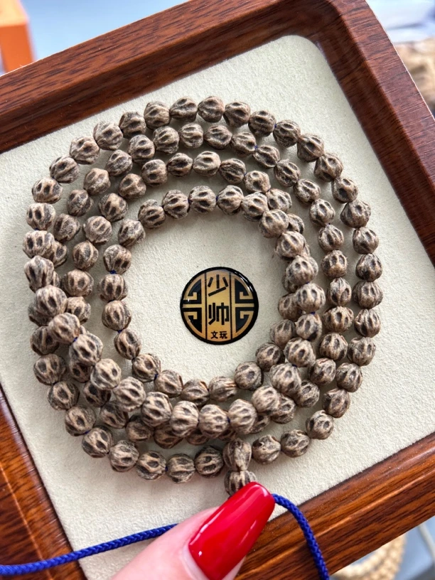 热振一哥《狗娃》定制级百香籽