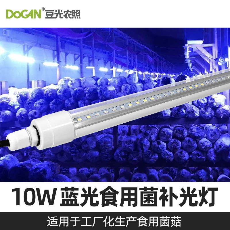 220V电压食用菌补光灯平菇榆黄菇子实体生长用LED散射光防水灯管