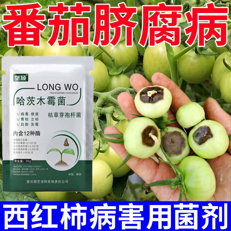 西红柿番茄脐腐病专用微生物菌剂炭疽病病毒病病害肥料防腐烂防裂