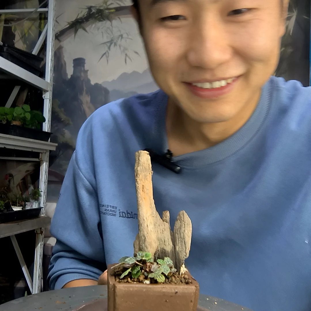 南*°中青园艺一物一拍290