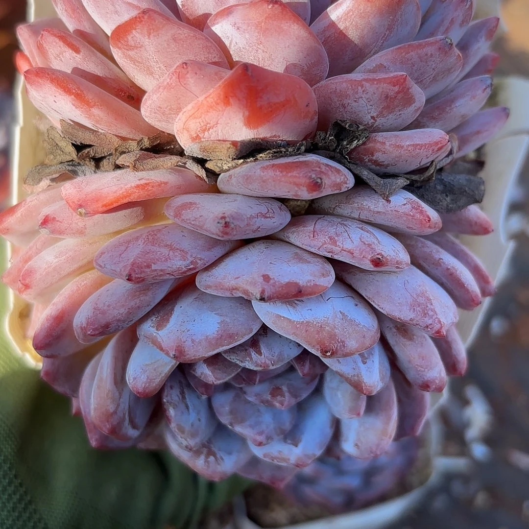 001包邮包邮包邮包邮