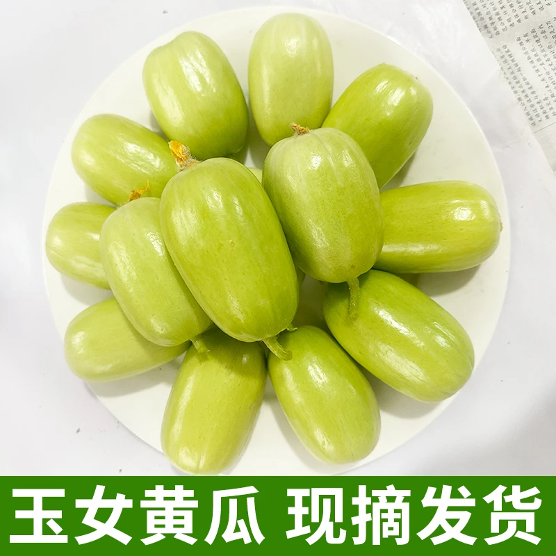 山东寿光玉女黄瓜水果小黄瓜新鲜拇指黄瓜蔬菜现摘食用农产品