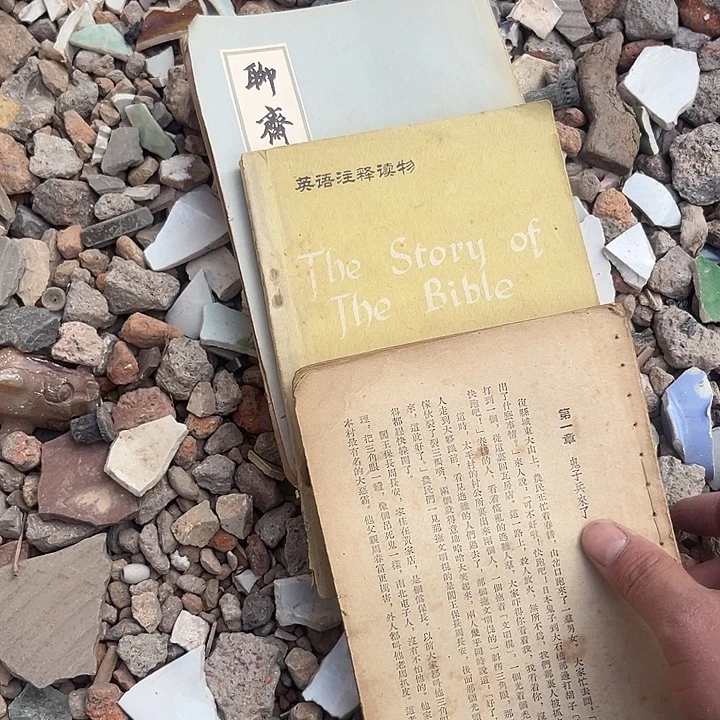 丑***莲杂色豆（科檀/科特迪瓦檀木）
