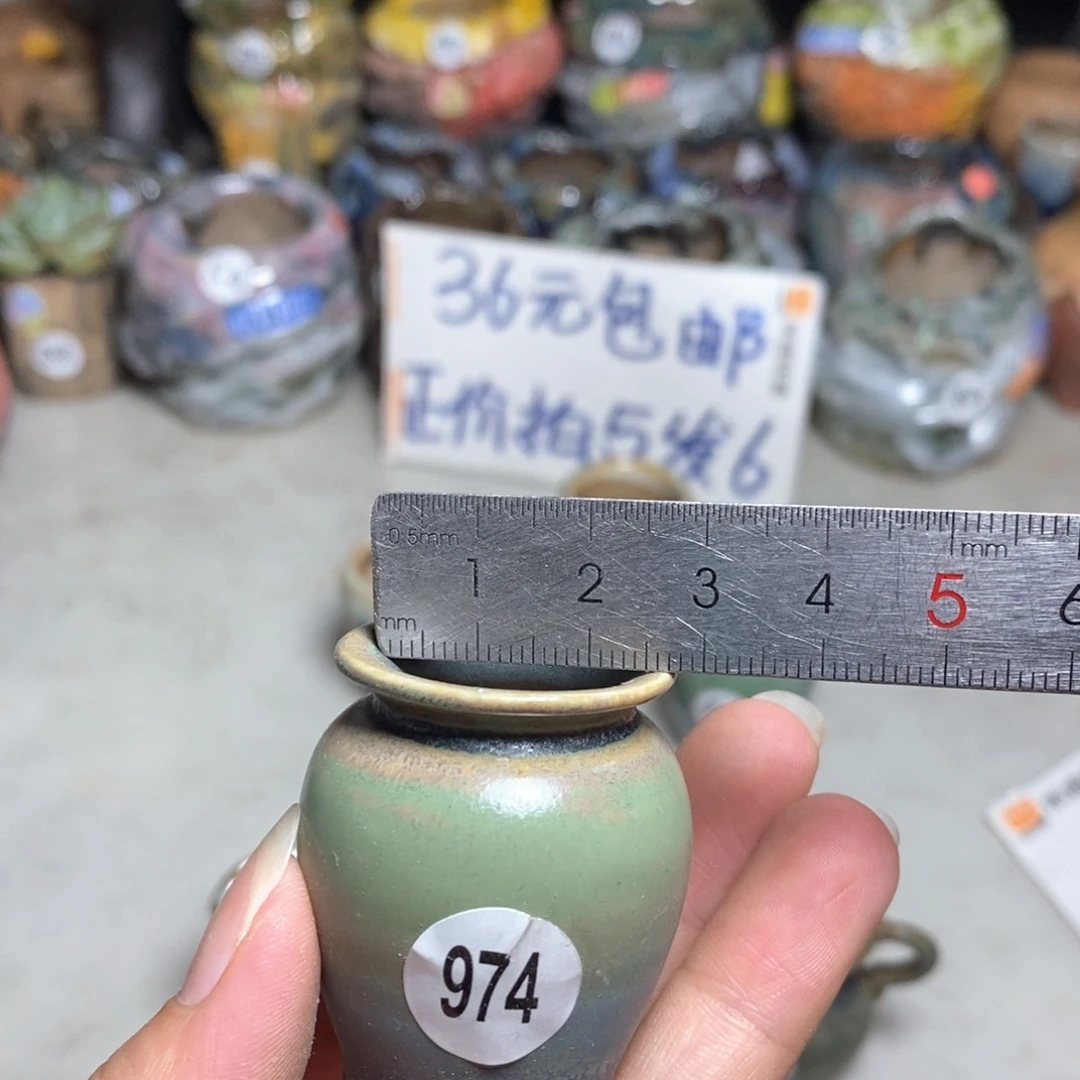 拍5送一个小礼物