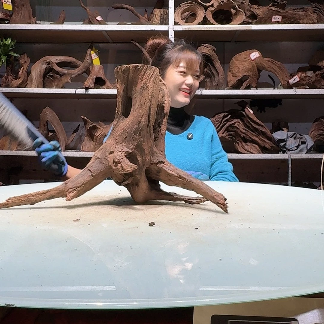 倍诸沉木不包损，必褪色a*伯0176