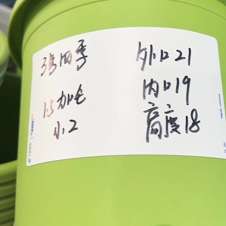 正品3号四季口21高18果绿无托10只