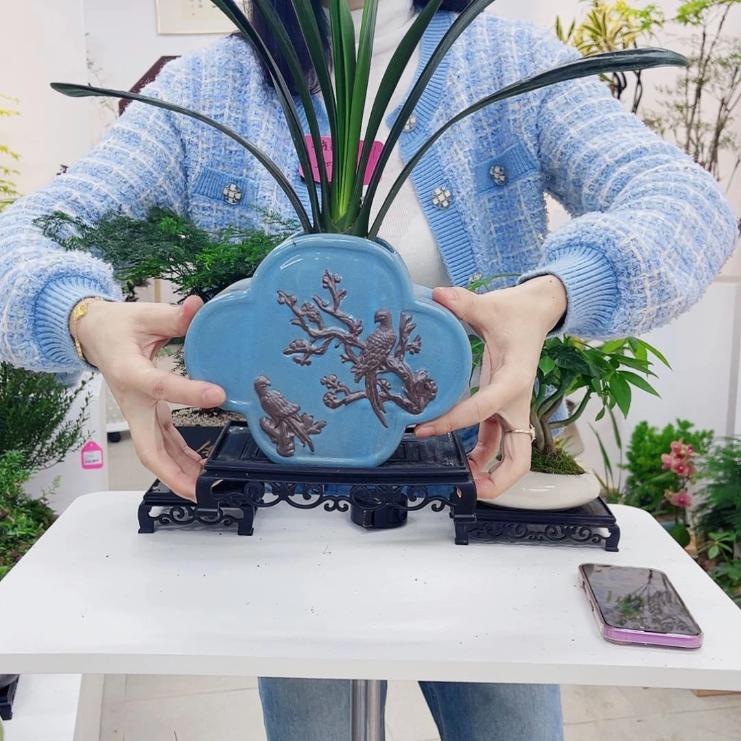 高端绿植一物一拍