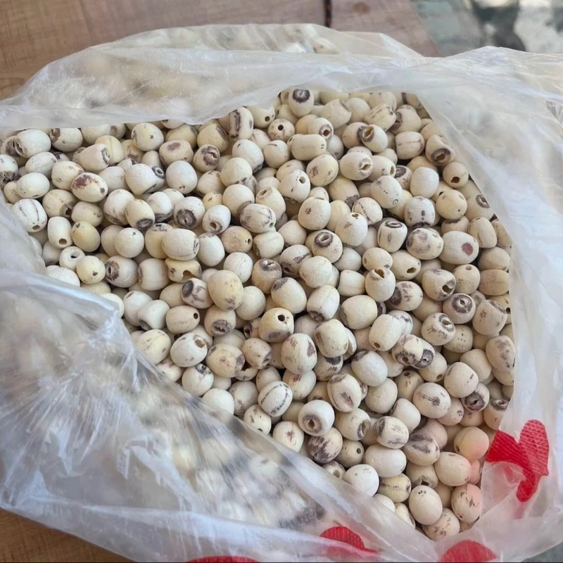 【罐装】莲子干货新鲜煲汤煮粥饱满颗粒原色莲子干货
