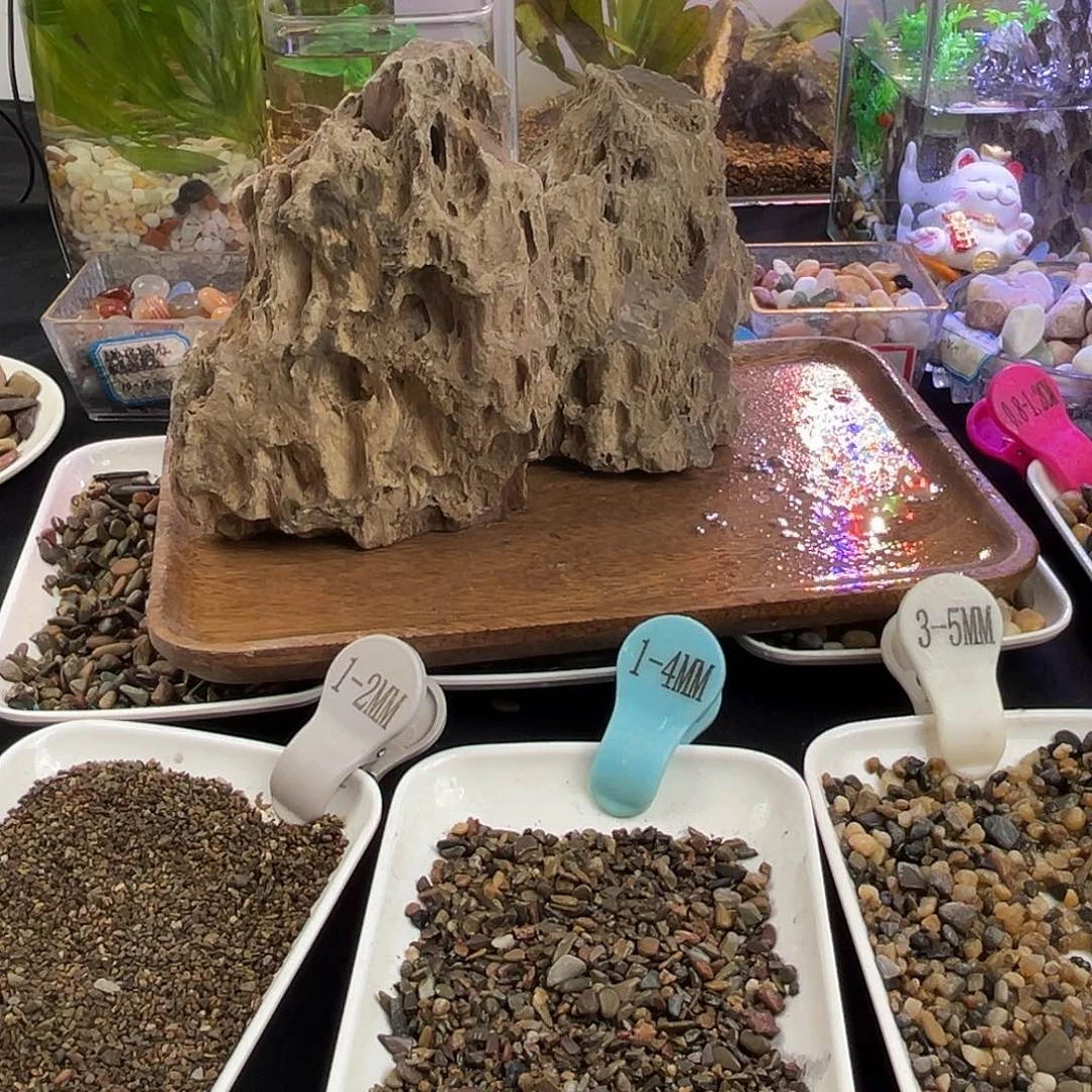 纯天然松皮石一物一拍